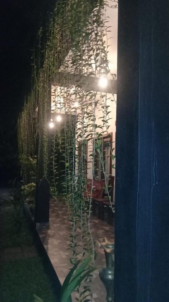 Hotel Awaken Dambulla Extérieur photo